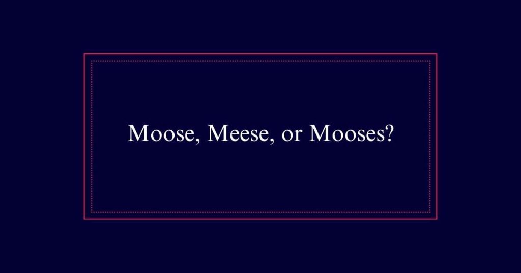 Moose, Meese, or Mooses?