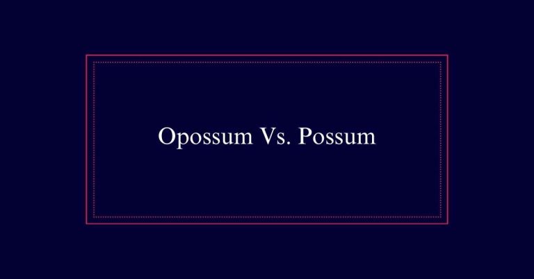 Opossum or Possum