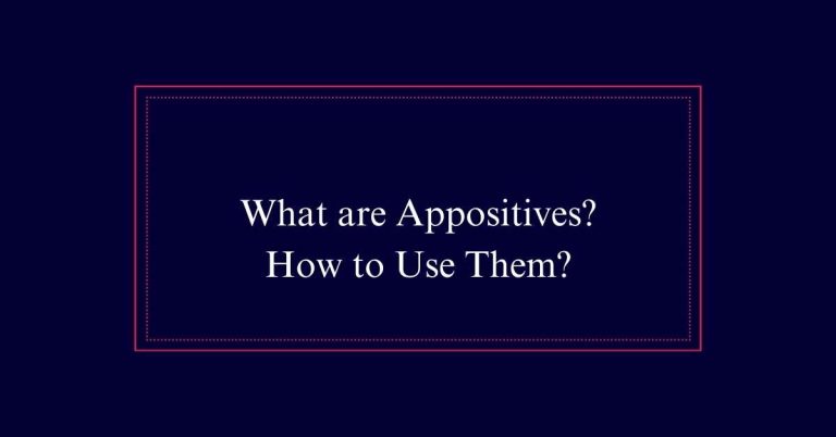 What are Appositives